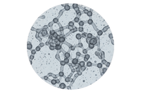 100–300 kDa Hyaluronic acid