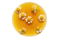 Chamomile extract